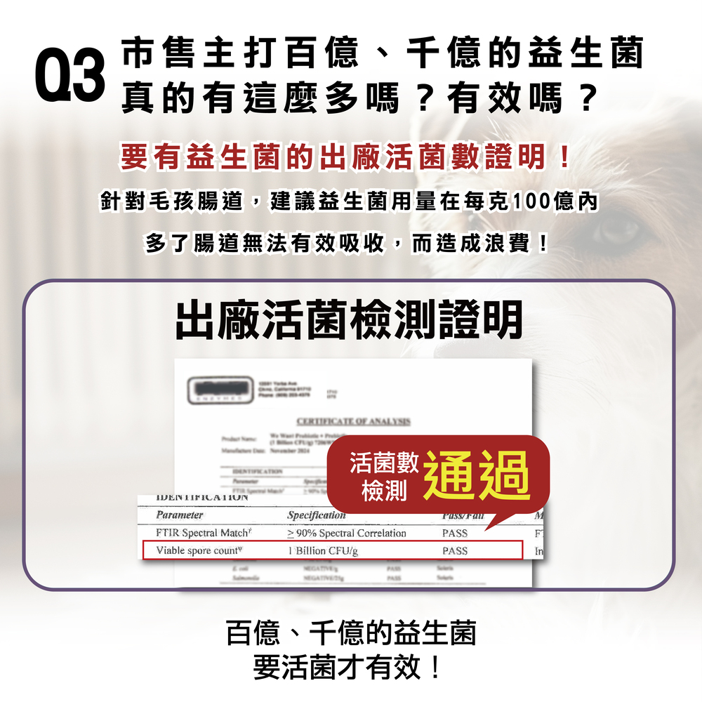 狗狗基礎保養專用，精選雙菌株，日常保養不失手