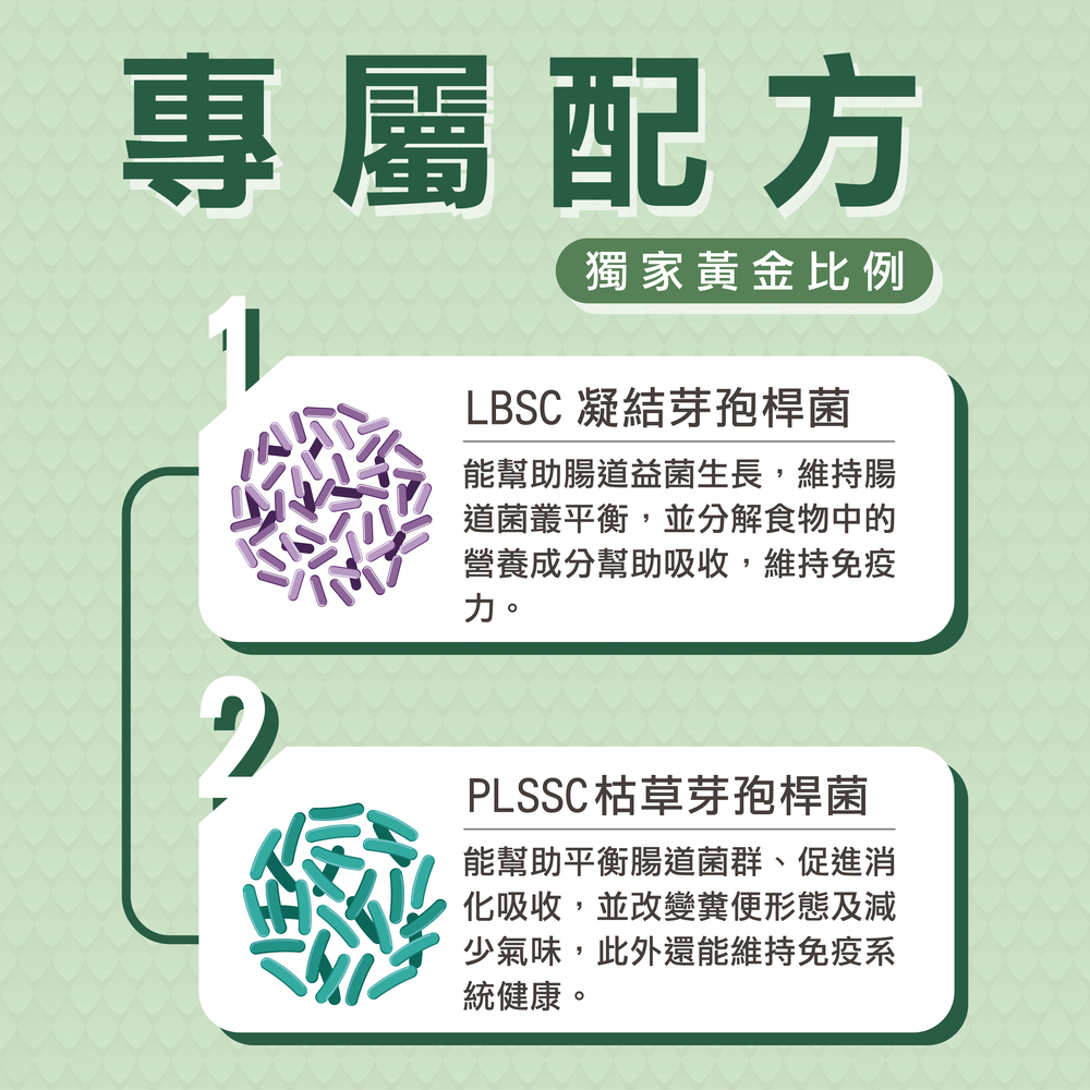 鴿子專用益生菌+益生元 - 腸胃2菌配方 50g/罐( 鴿子專用腸道基礎保養 )