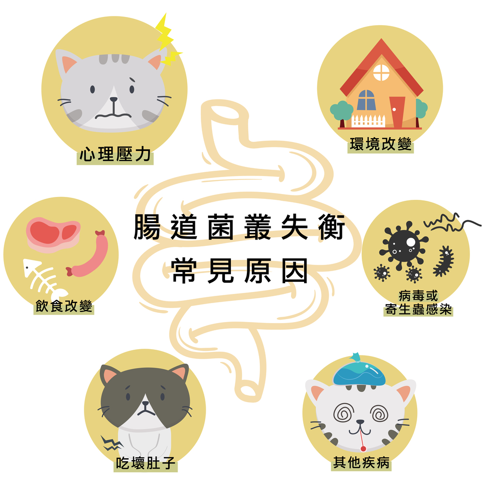貓用益生菌、貓益生菌、貓咪、寵物、寵物益生菌