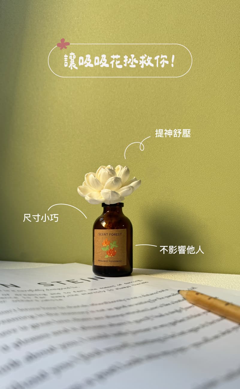 2025白色情人節