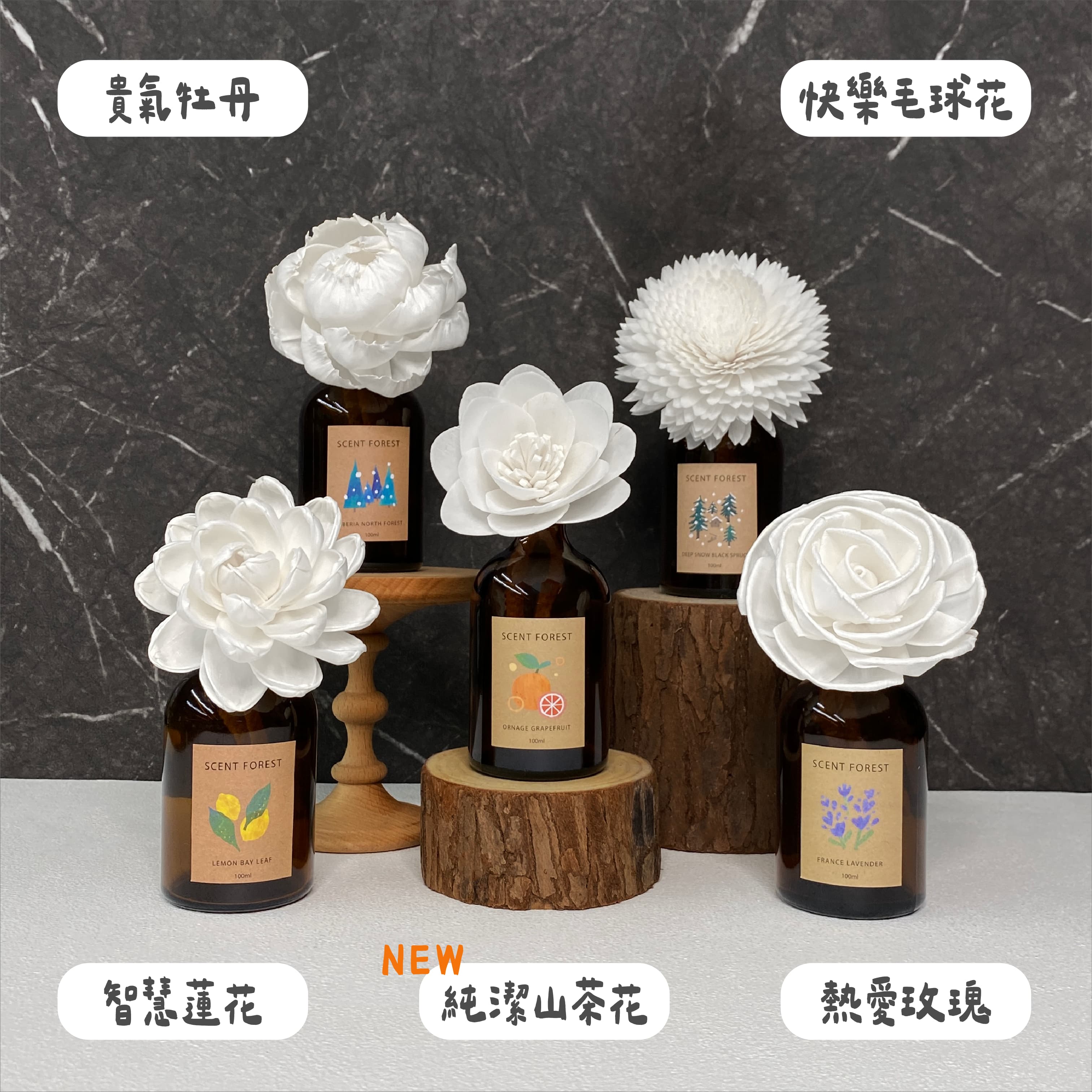 SCENT FOREST 香氛森林 - 擴香花 精油 香氛花 橙花盛開 橙色
