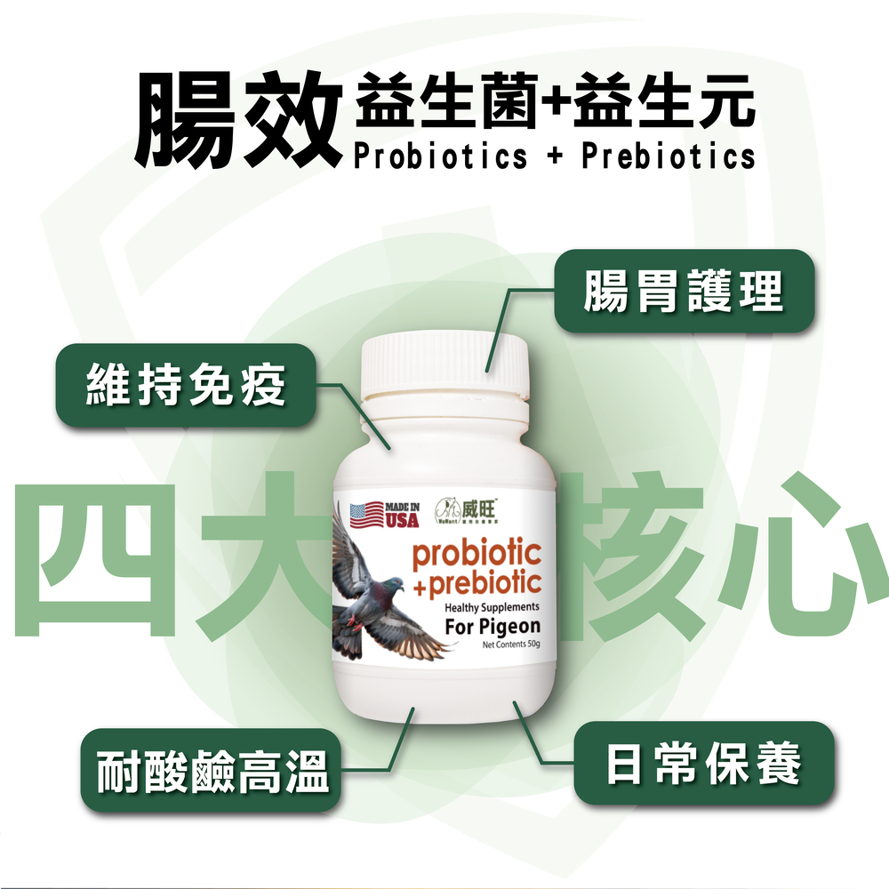 鴿子專用益生菌+益生元 - 腸胃2菌配方 50g/罐( 鴿子專用腸道基礎保養 )
