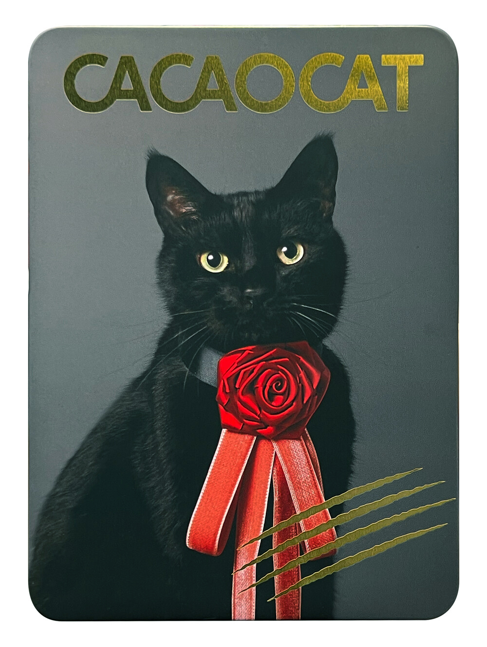 黑貓 貓咪 限定