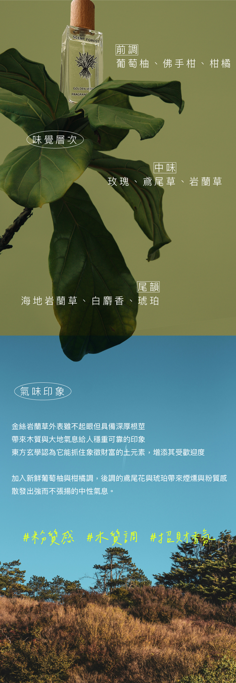 SCENT FOREST 香氛森林-LINE獨家 金絲岩蘭草香氛系列 產品特色
