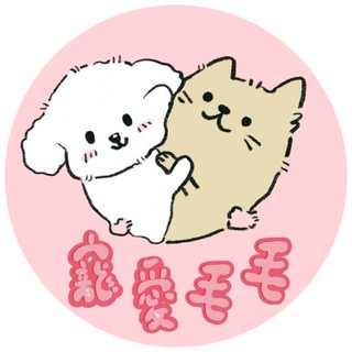 寵愛毛毛 MaoMao Loved