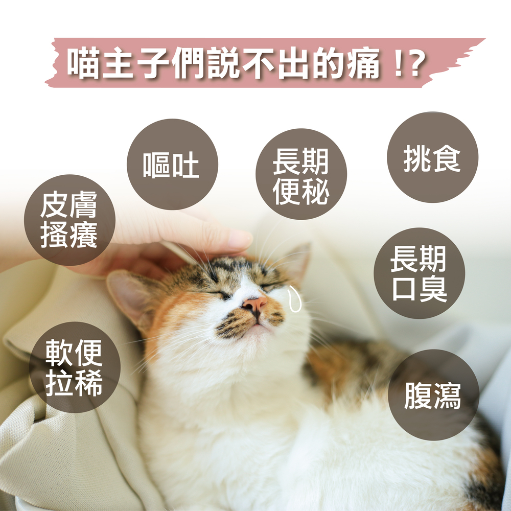 提供貓咪最適當的營養補充，精選美國雙菌株，日常保養不手殘
