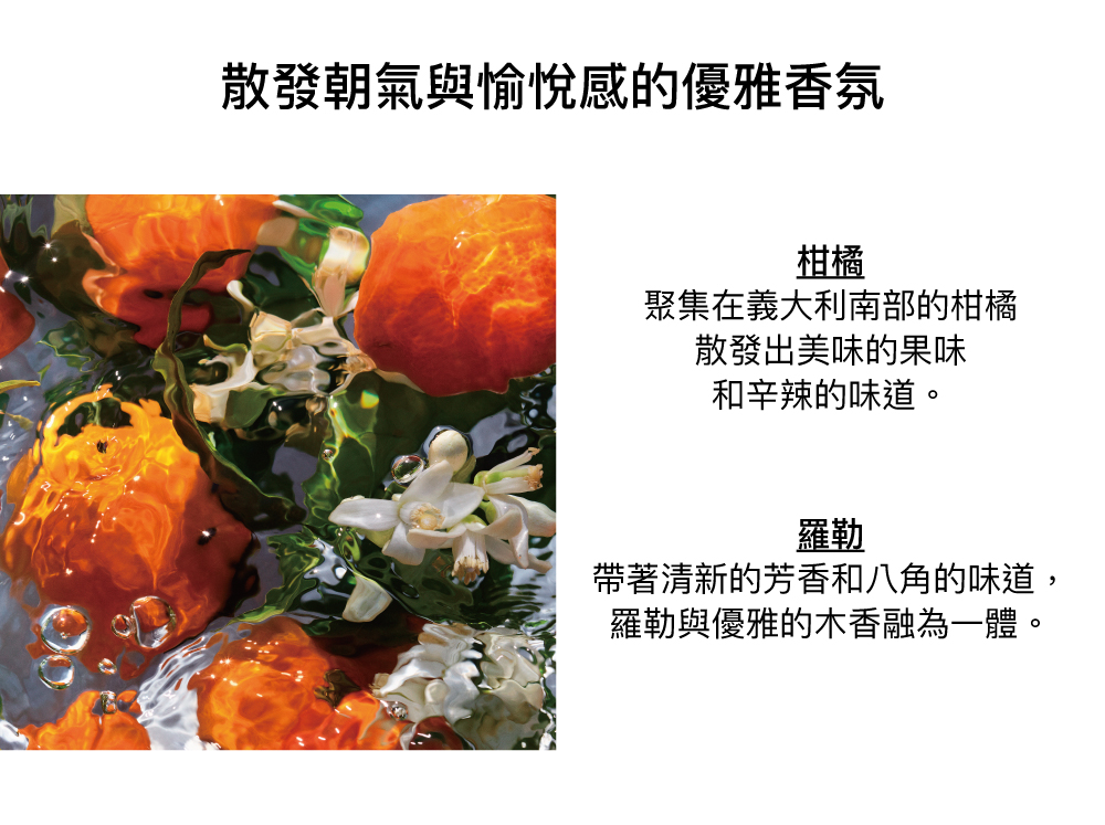 柑橘香氣,果香,羅勒,綠茶,八角,木香
