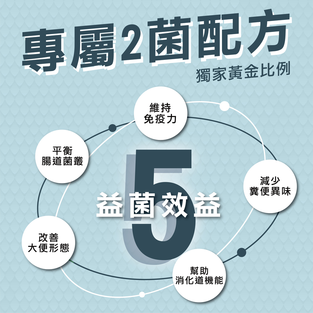 兔子專用益生菌+益生元 - 腸胃2菌配方 50g/罐(兔子專用腸道基礎保養 )