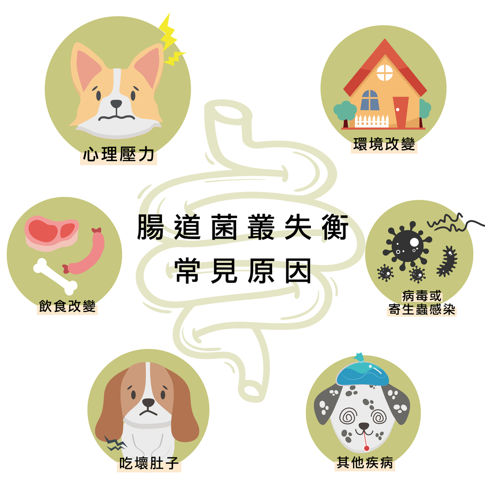 狗狗益生菌