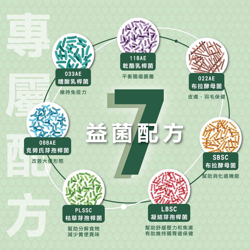幫助鴿子腸胃健康，專業配方的益生菌，鴿子日常保健