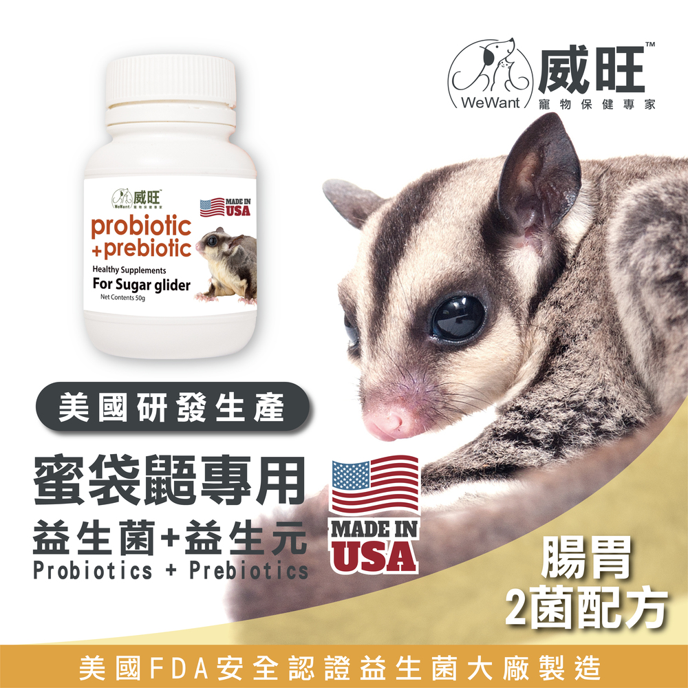 蜜袋鼯用益生菌+益生元 - 腸胃2菌配方 50g/罐( 蜜袋鼯用腸道基礎保養 )