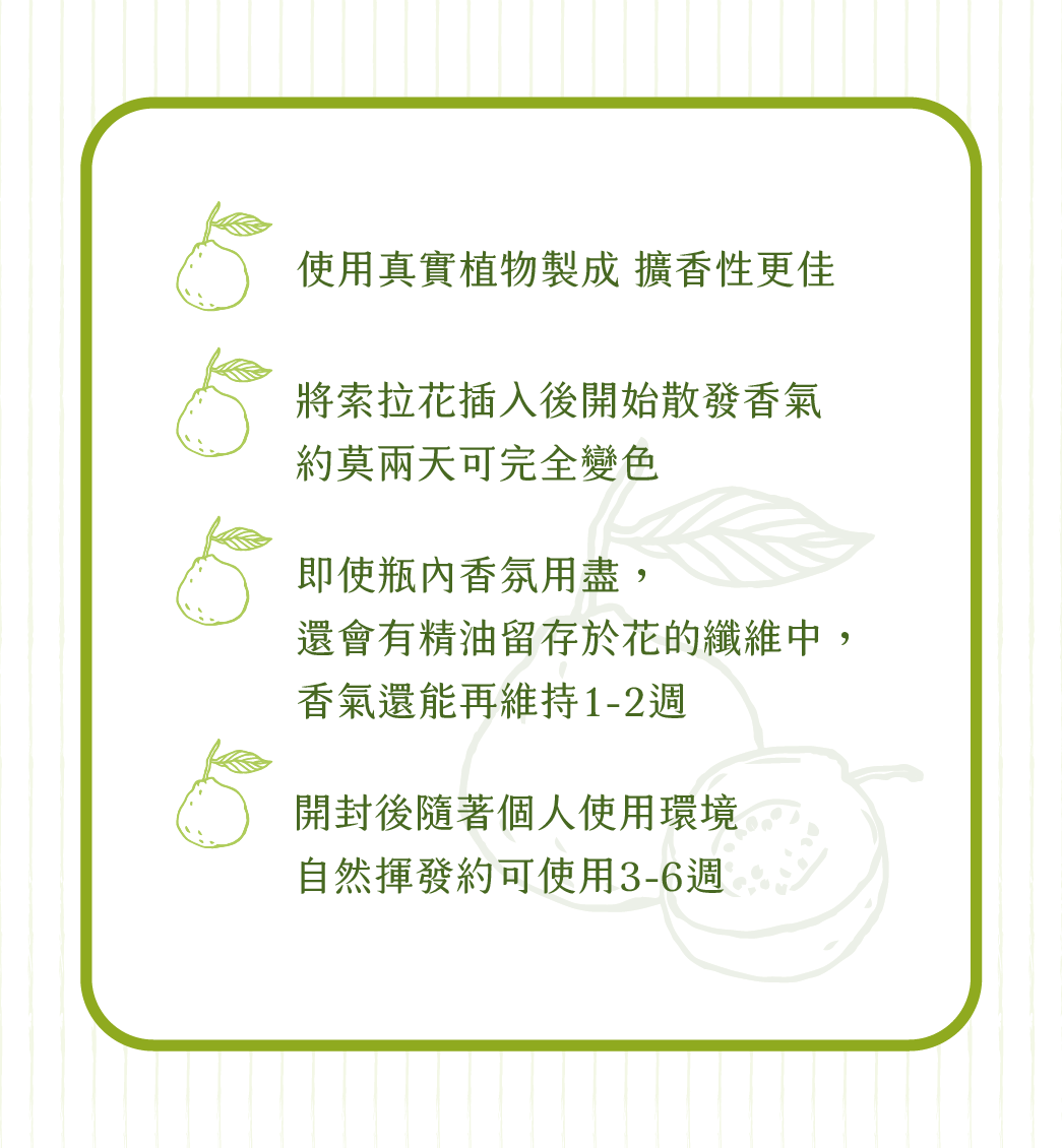 SCENT FOREST 香氛森林 - 擴香花 精油 香氛花 春日芭樂樹 綠色