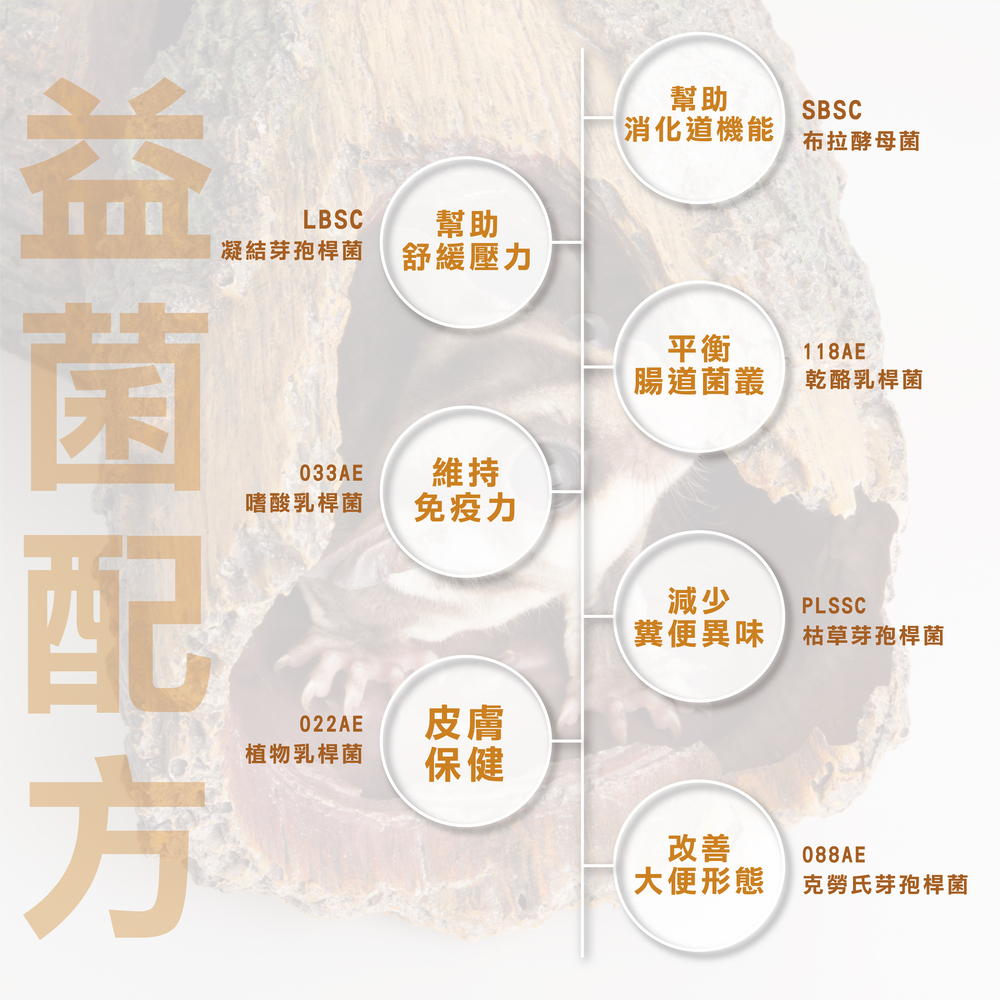 幫助蜜袋鼯腸胃健康，專業配方的益生菌，米袋鼯日常保健