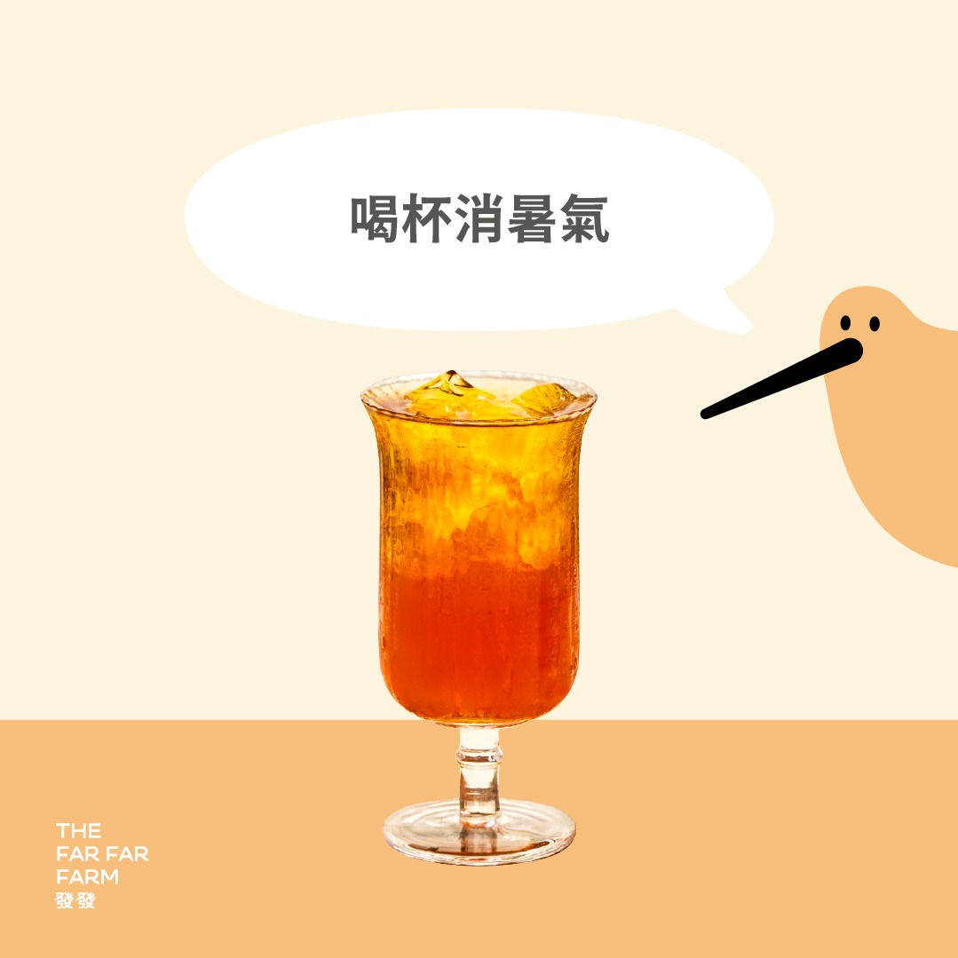 [限時兌換1+1]【發發】大杯厚韻紅金萱