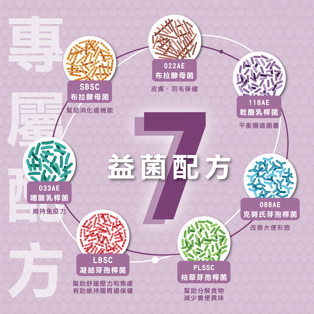 威旺金剛鸚鵡益生菌