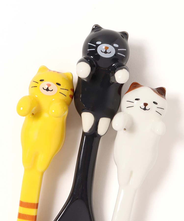 賓士貓 貓咪 黑貓