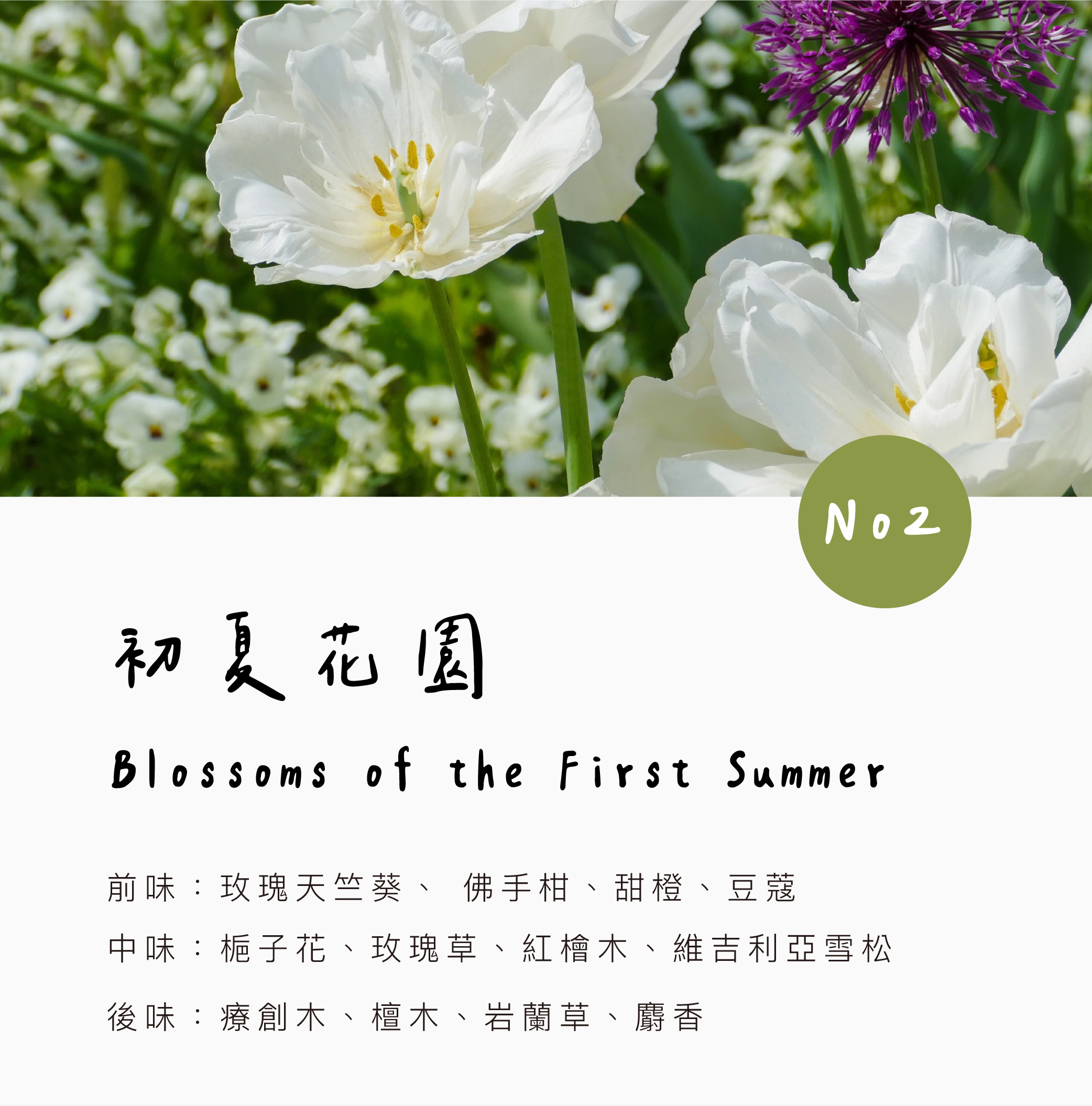 香氛森林 馬年快樂 質感車用香氛2.0 全新小萌寵上市 帥氣小馬迎新春