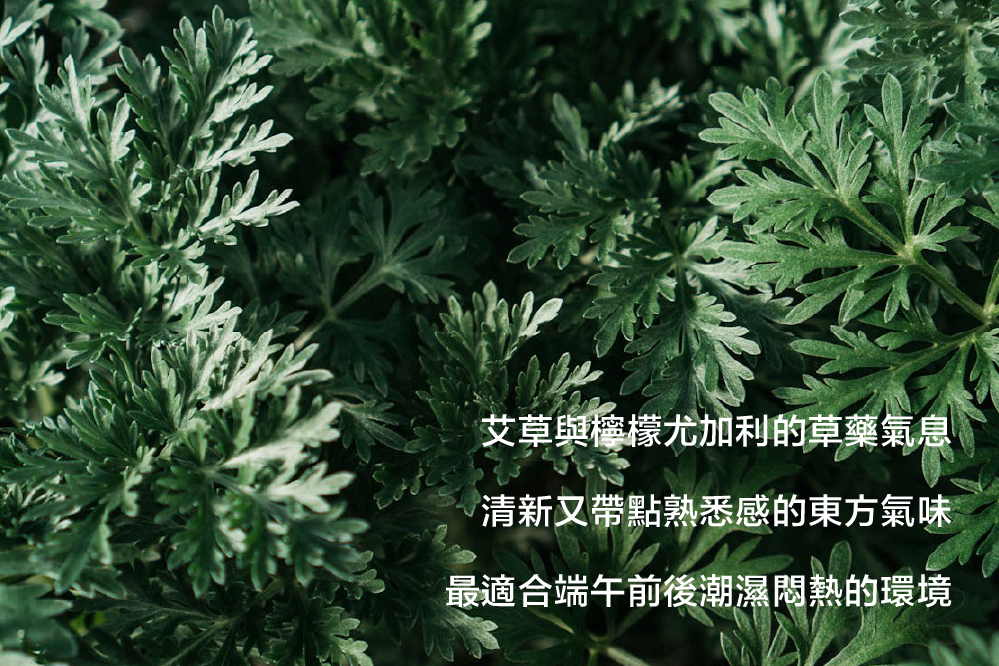 SCENT FOREST 香氛森林-LINE獨家 青青艾草香氛系列 產品特色