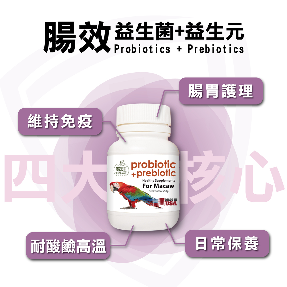 金剛鸚鵡益生菌+益生元 - 腸胃2菌配方 50g/罐( 金剛鸚鵡腸道基礎保養 )