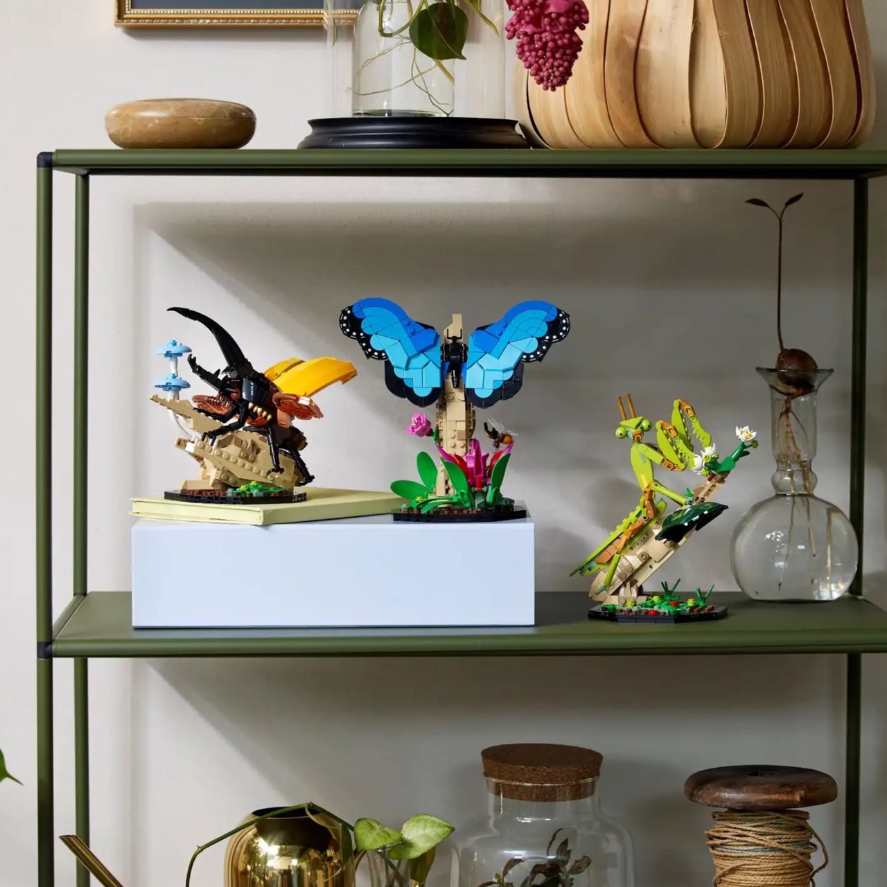 必買站】樂高LEGO 21342 昆蟲集錦The Insect Collection 樂高®IDEAS