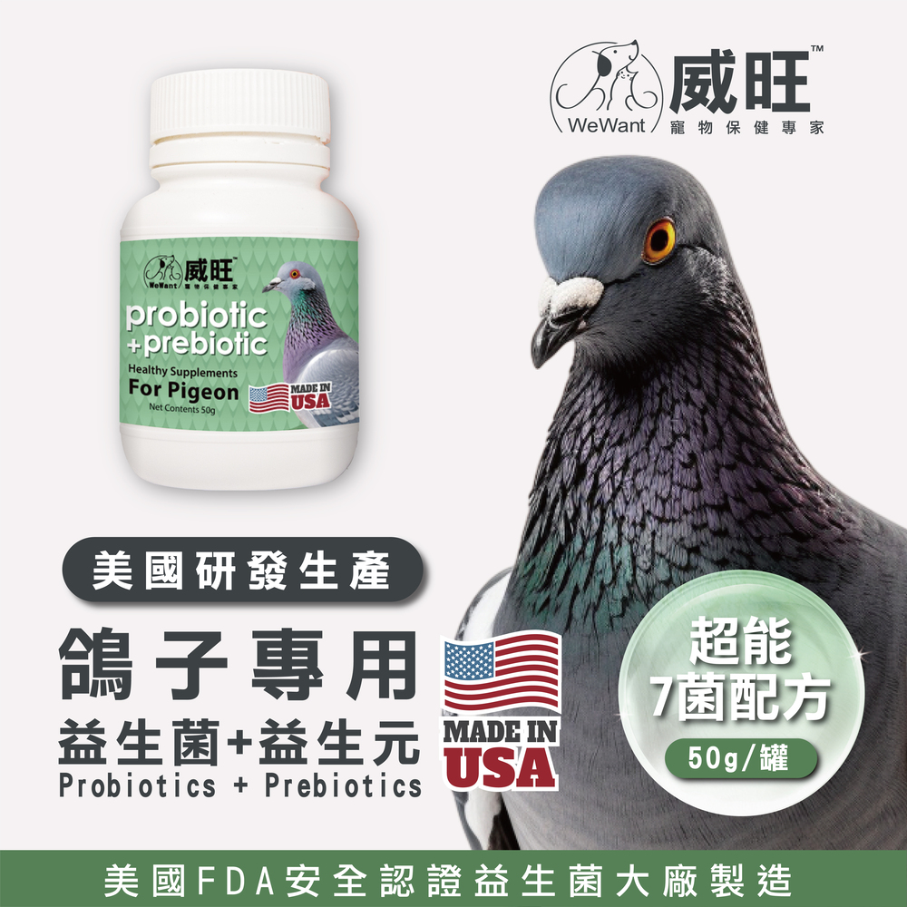 幫助鴿子腸胃健康，專業配方的益生菌，鴿子日常保健
