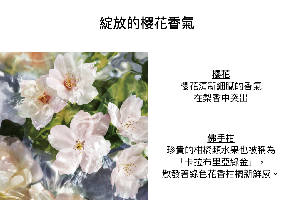 櫻花香氣,花香,櫻花,西瓜,佛手柑,紫羅蘭,白麝香香調