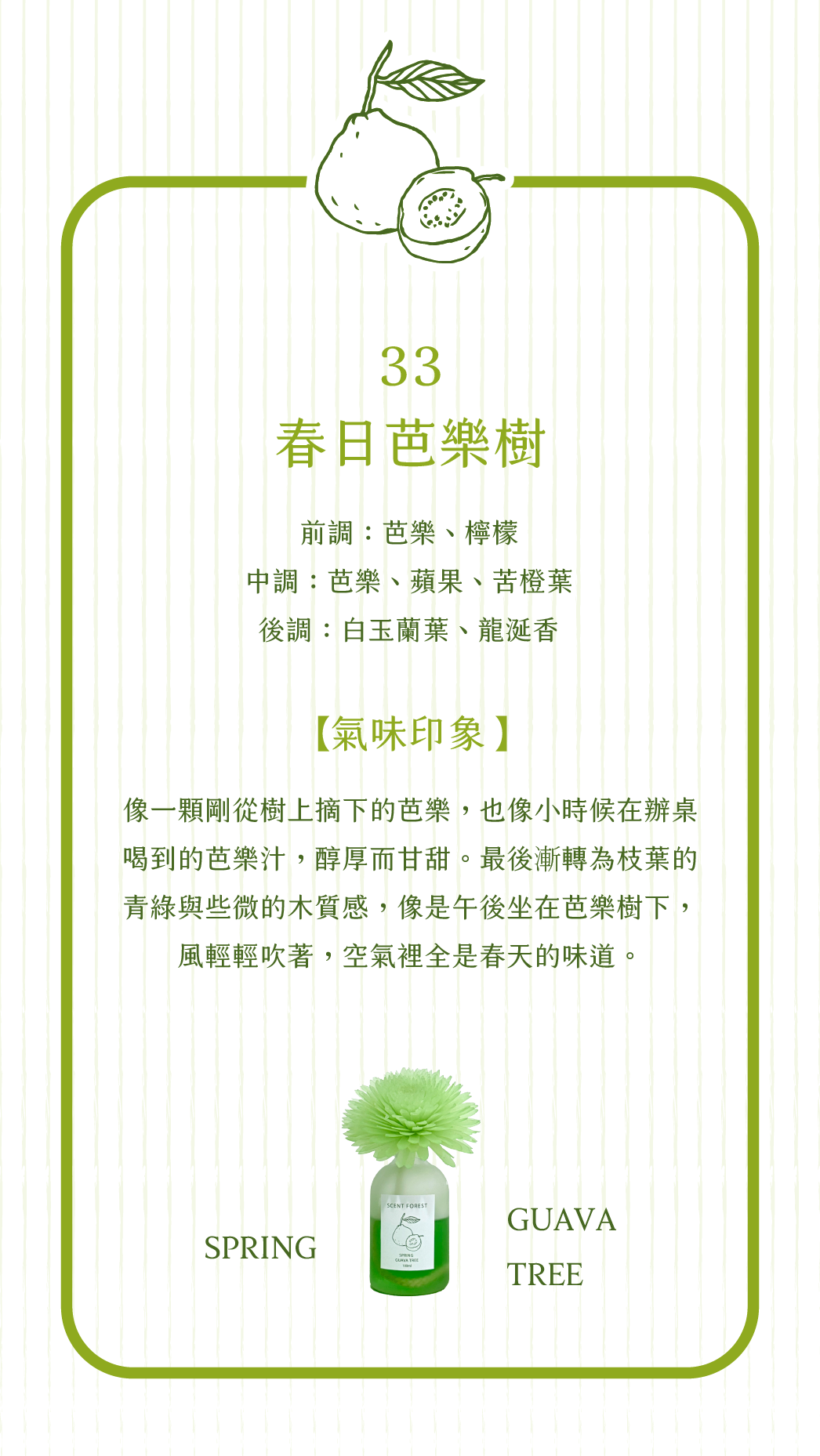 SCENT FOREST 香氛森林 - 擴香花 精油 香氛花 春日芭樂樹 綠色