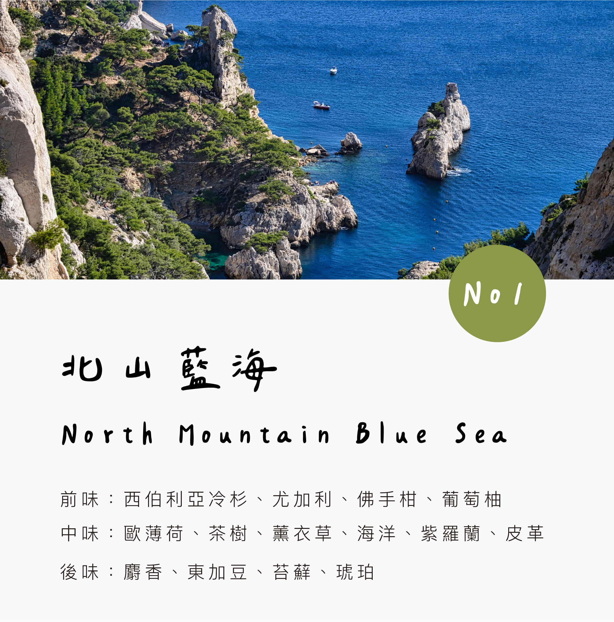 香氛森林 馬年快樂 質感車用香氛2.0 全新小萌寵上市 帥氣小馬迎新春