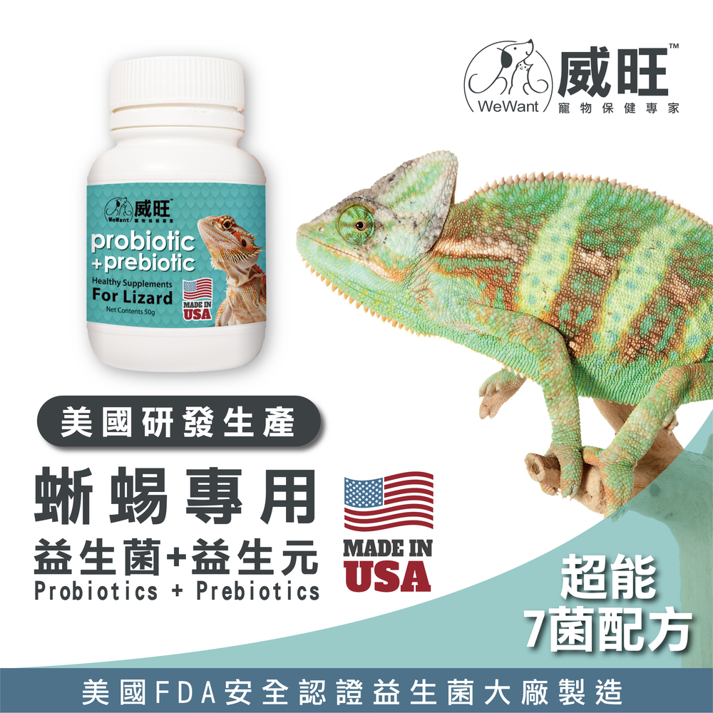 幫助蜥蜴腸胃健康，專業配方的益生菌，蜥蜴日常保健