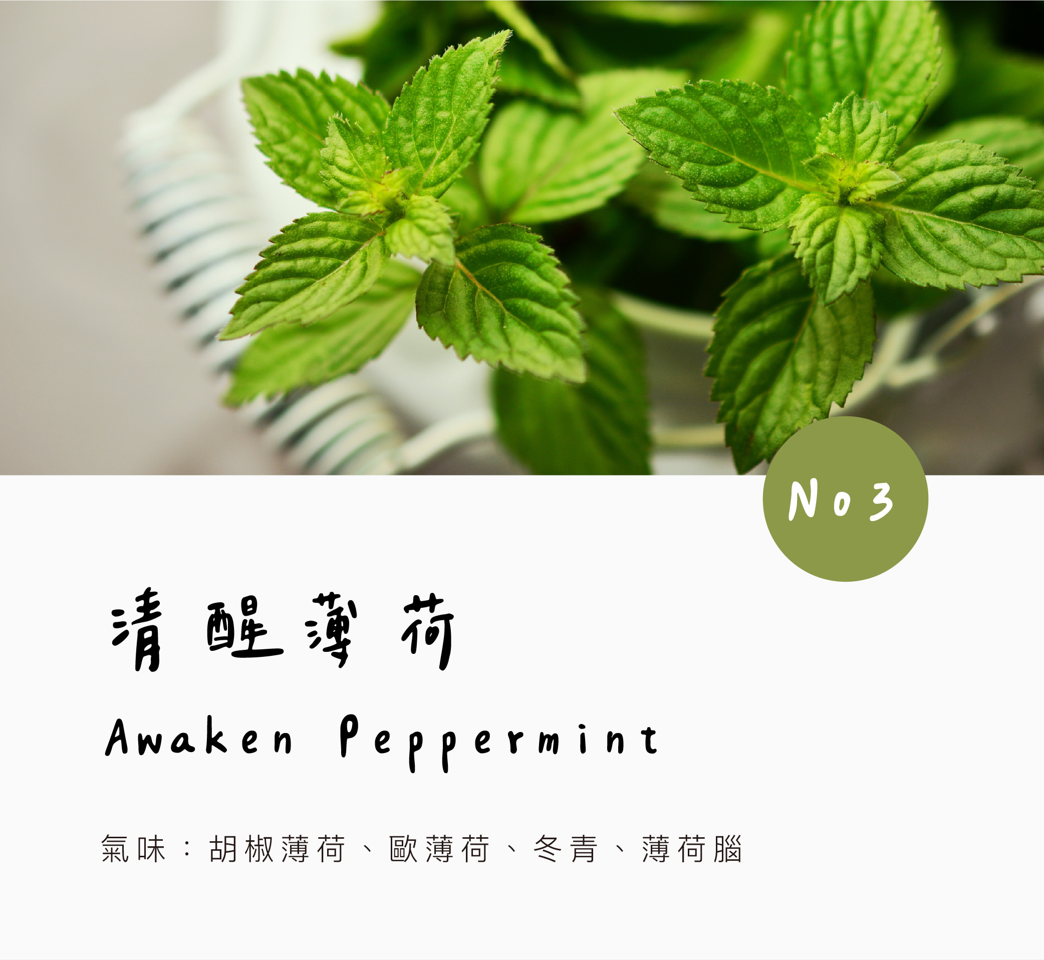 香氛森林 馬年快樂 質感車用香氛2.0 全新小萌寵上市 帥氣小馬迎新春