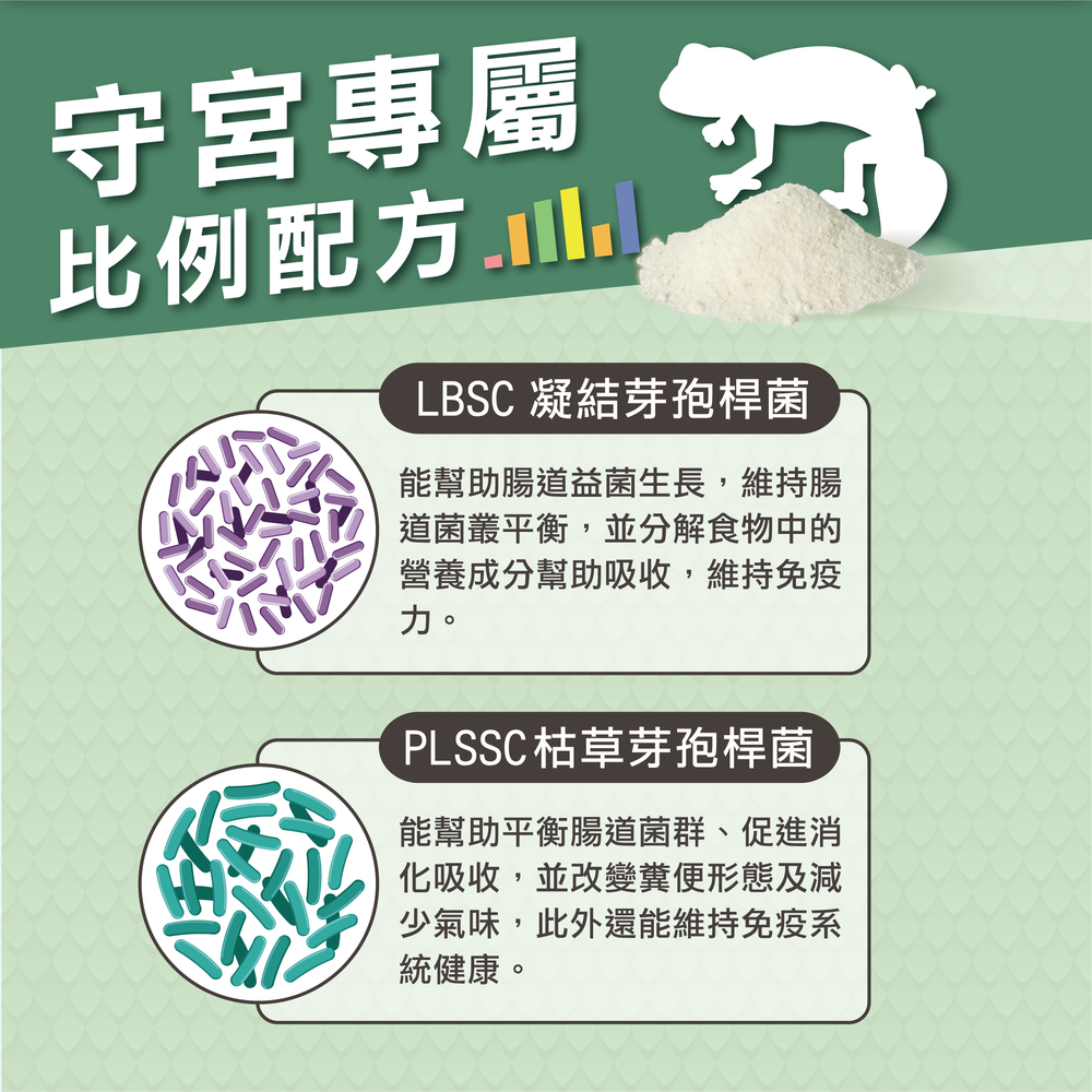 守宮益生菌,守宮保養,守宮保健品,兩棲爬蟲