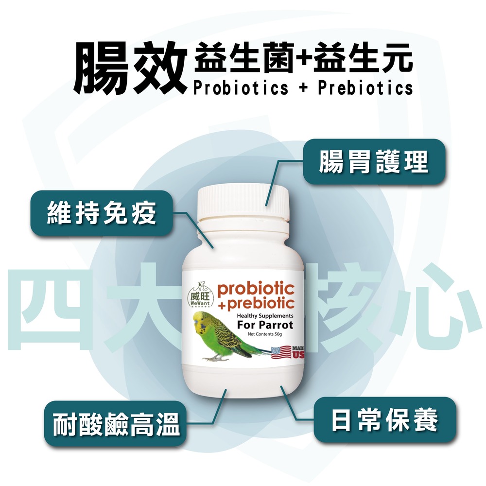 鸚鵡專用益生菌+益生元 - 腸胃2菌配方 50g/罐( 鸚鵡專用腸道基礎保養 )
