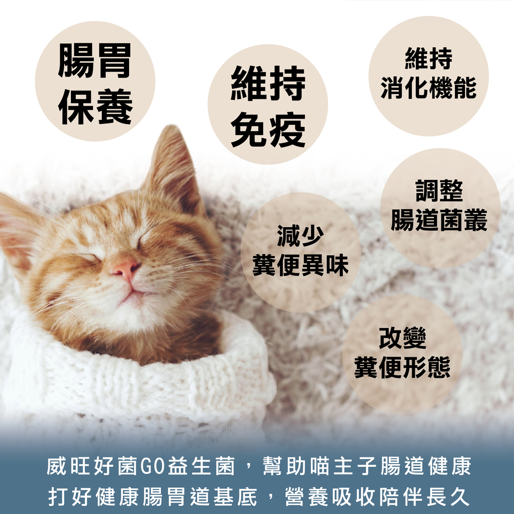 提供貓咪最適當的營養補充，精選美國雙菌株，日常保養不手殘