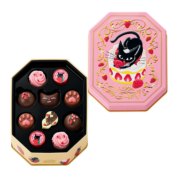 情人節 巧克力 貓咪