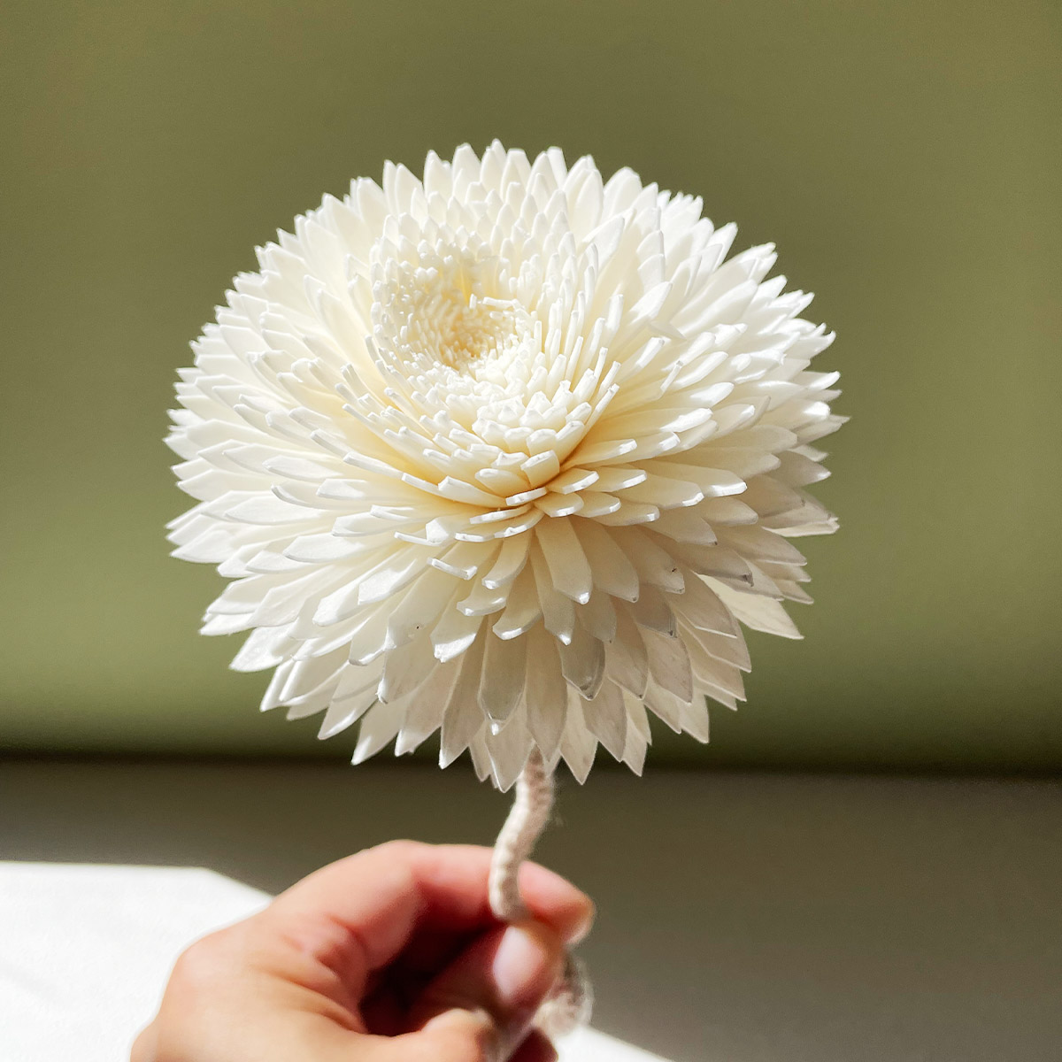 SCENT FOREST 香氛森林 - 擴香花 精油 香氛花 橙花盛開 橙色