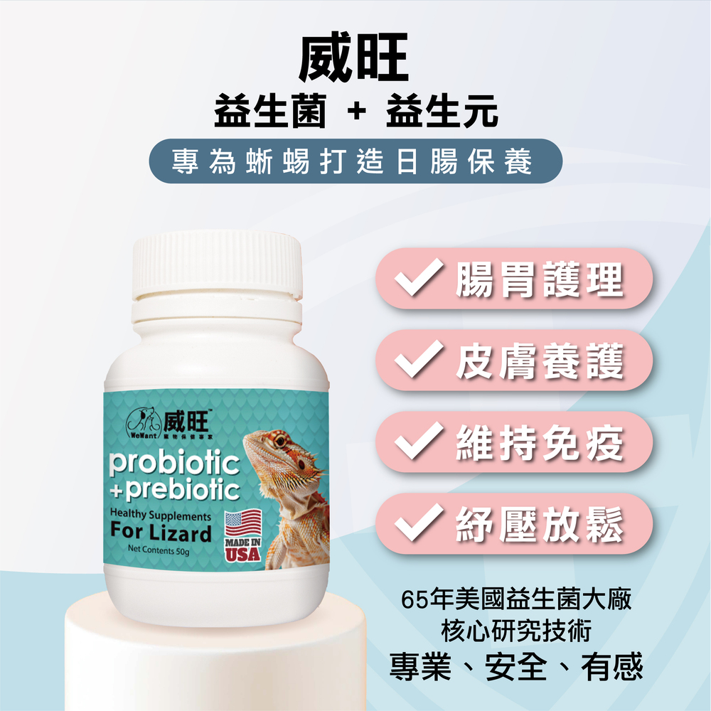 幫助蜥蜴腸胃健康，專業配方的益生菌，蜥蜴日常保健