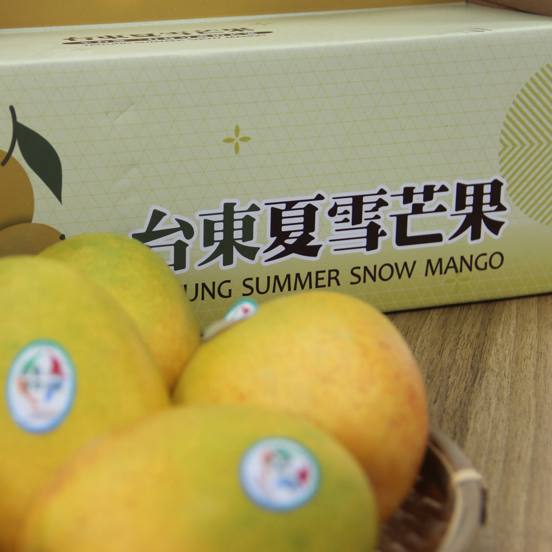 台東-夏雪芒果2.5kg精品禮盒(約5-8顆，含運)，商品依訂購順序陸續出貨 | LINE購物商城
