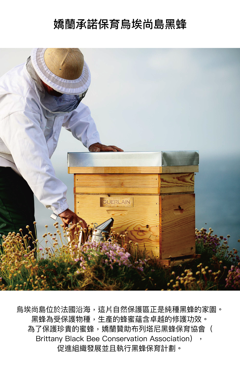 蜜蜂保育承諾,環境保護