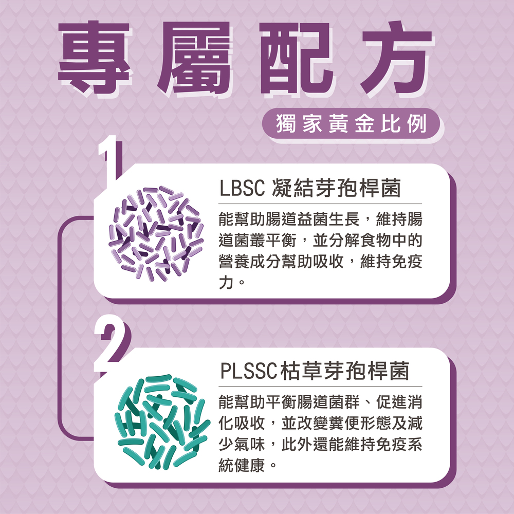 金剛鸚鵡益生菌+益生元 - 腸胃2菌配方 50g/罐( 金剛鸚鵡腸道基礎保養 )