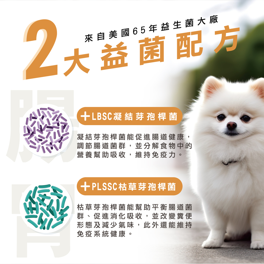 狗狗基礎保養專用，精選雙菌株，日常保養不失手