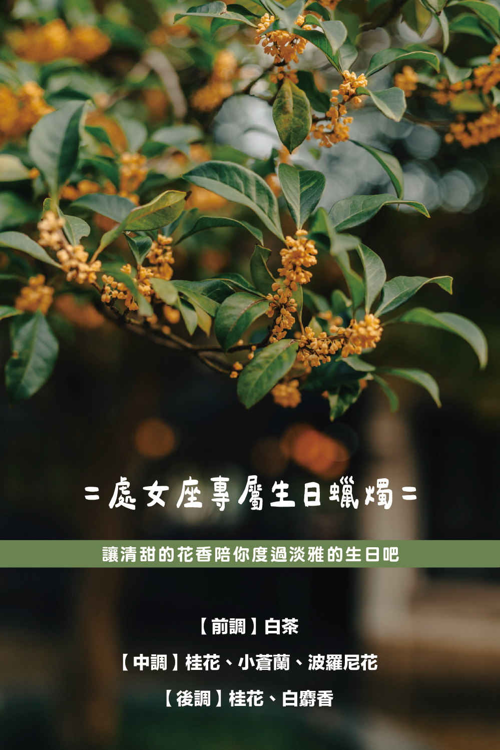 SCENT FOREST 香氛森林-十二星座 處女座 生日禮盒 LINE禮物 大豆蠟燭 二入 組合