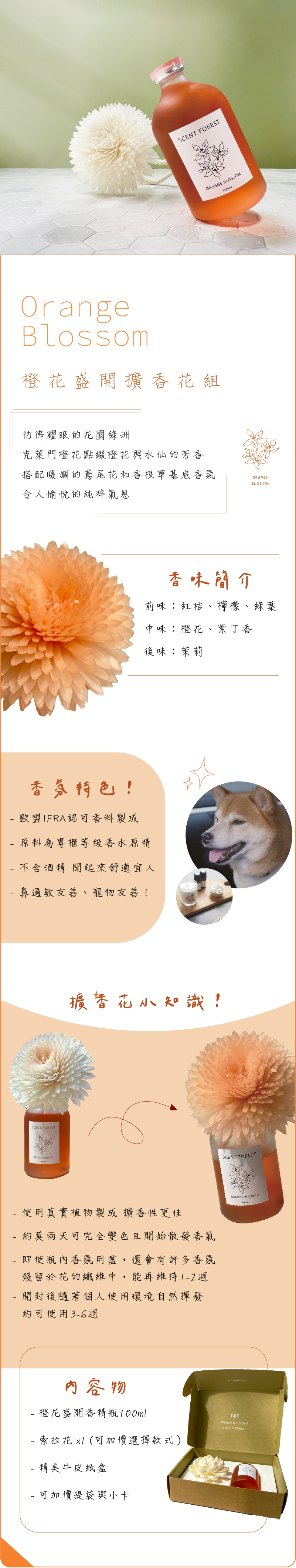 SCENT FOREST 香氛森林 - 擴香花 精油 香氛花 橙花盛開 橙色