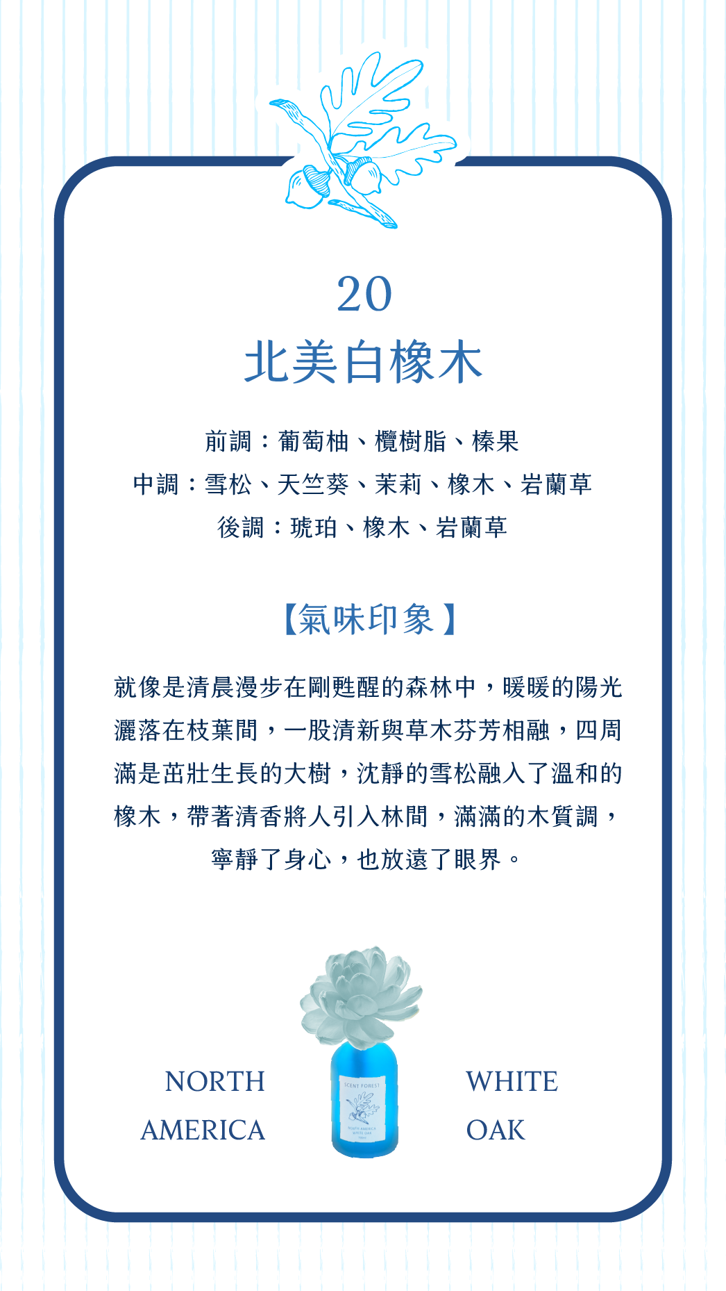 SCENT FOREST 香氛森林 - 擴香花 精油 香氛花 北美白橡木 藍色