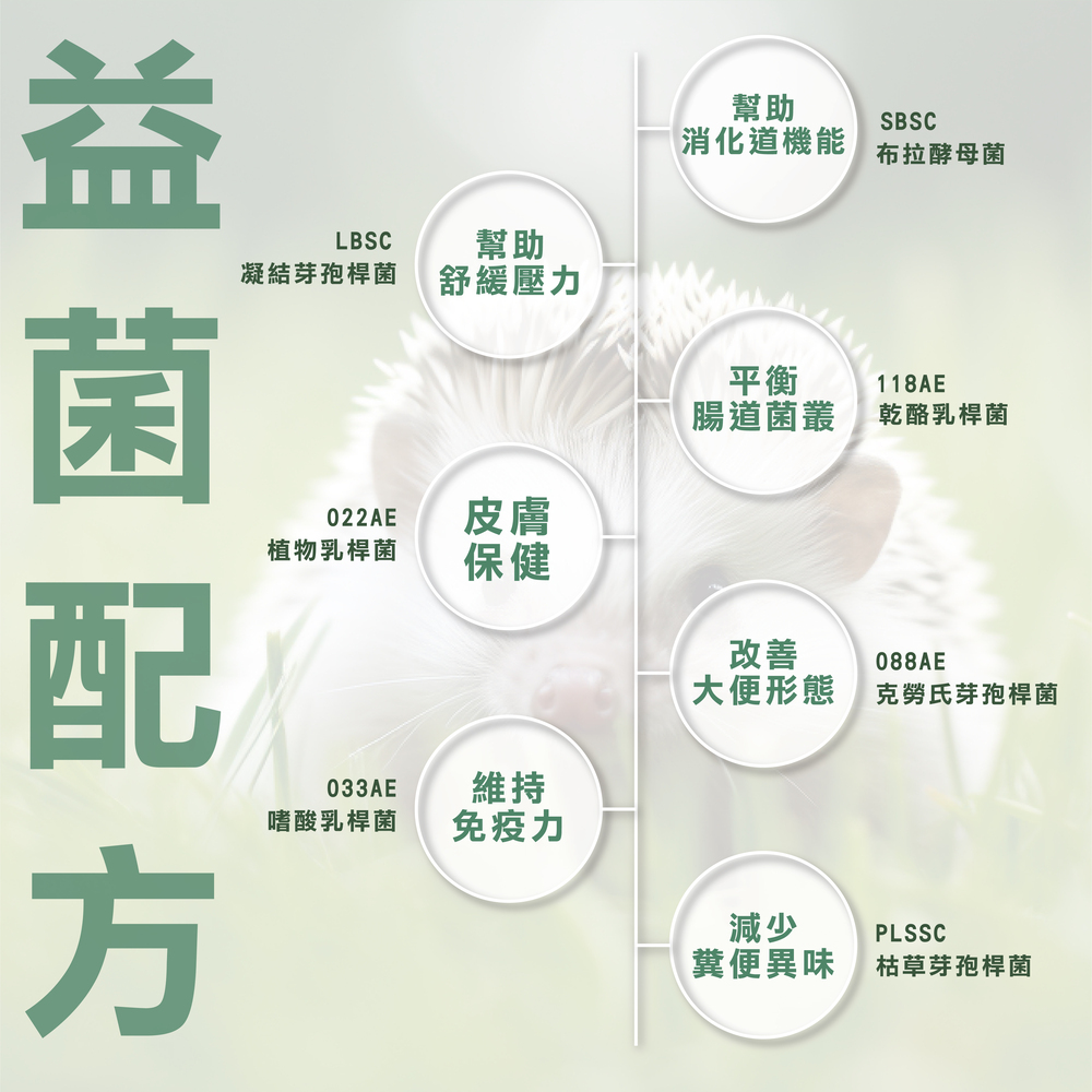 幫助兔子腸胃健康，專業配方的益生菌，兔子日常保健