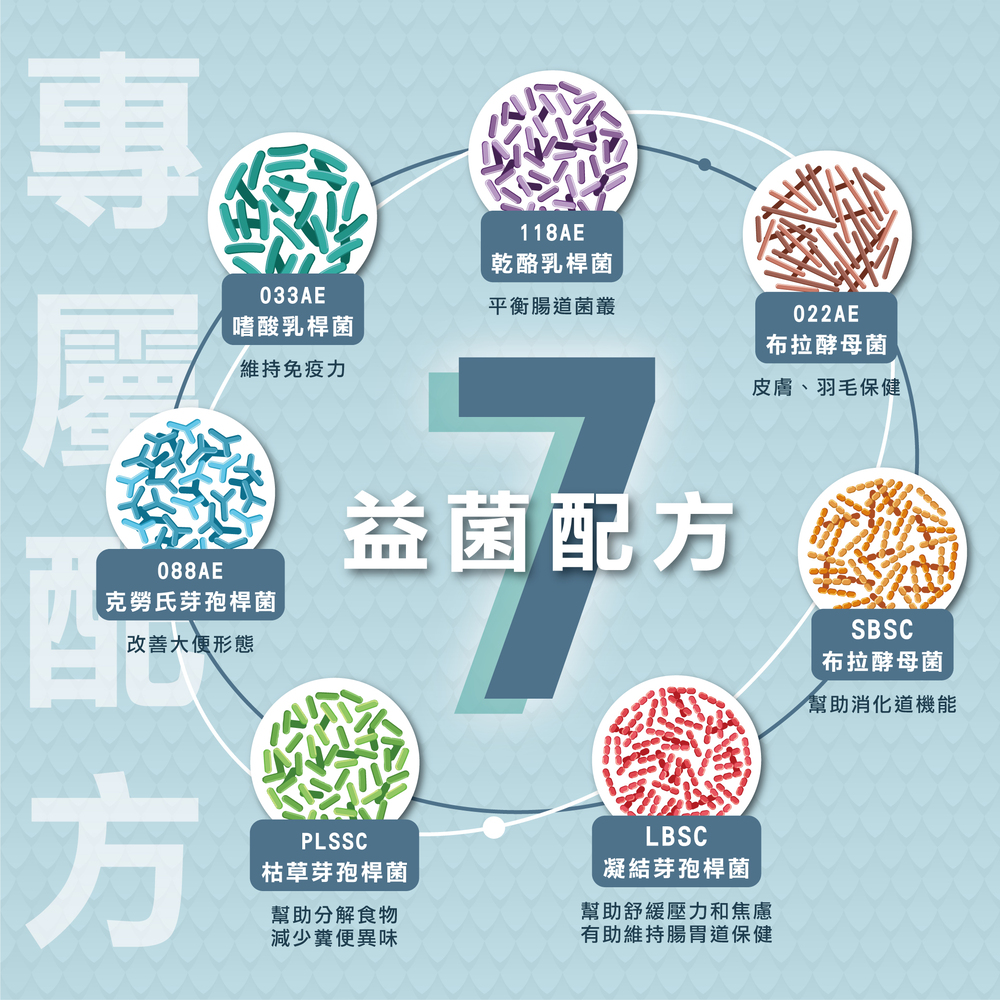 威旺鸚鵡益生菌，鸚鵡專用保健