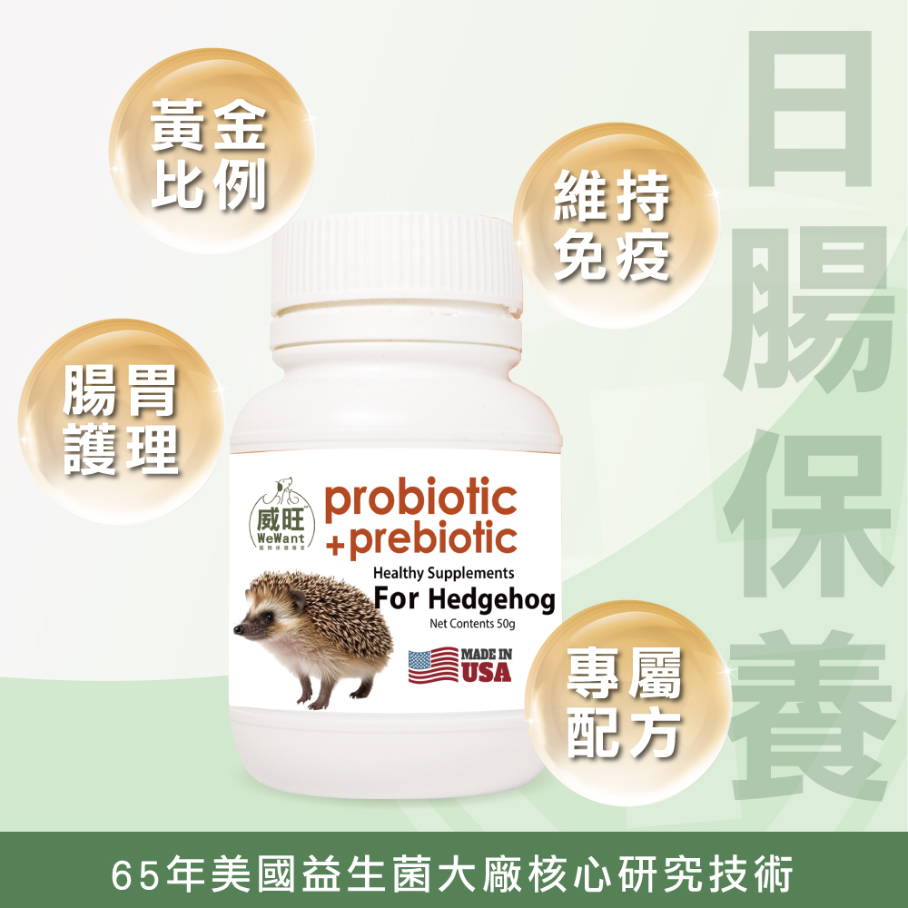 守宮專用益生菌+益生元 - 腸胃2菌配方 50g/罐( 守宮專用腸道基礎保養 )