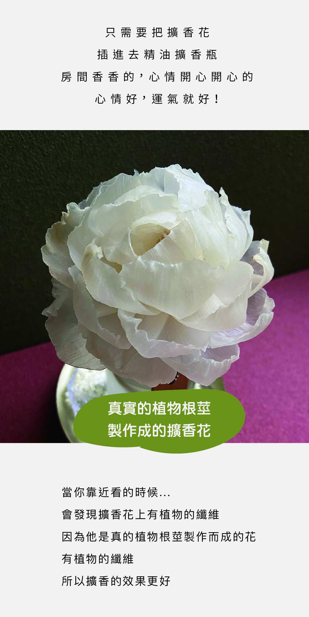 SCENT FOREST 香氛森林 - 精油 擴香花 香氛花 索拉花 枕邊噴霧