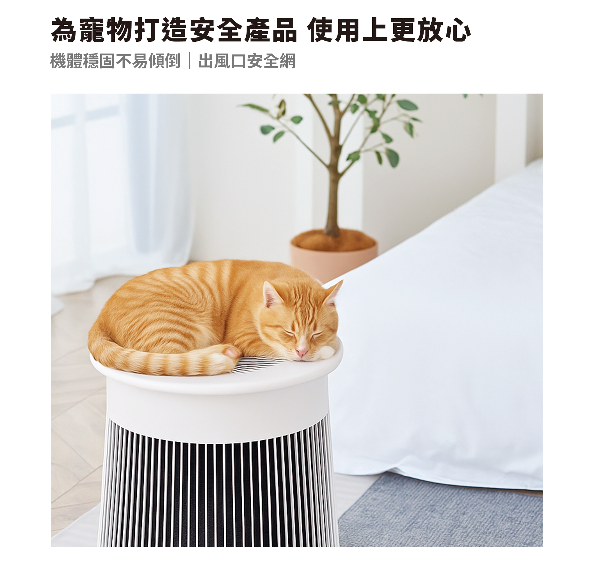 商品介紹