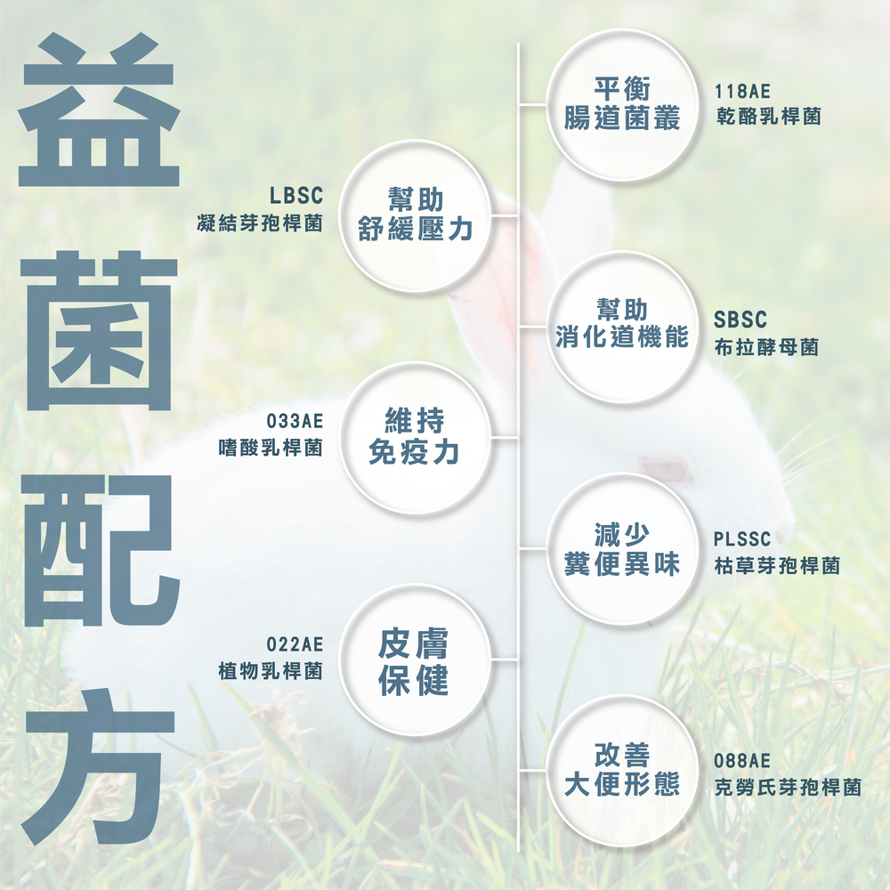 幫助兔子腸胃健康，專業配方的益生菌，兔子日常保健
