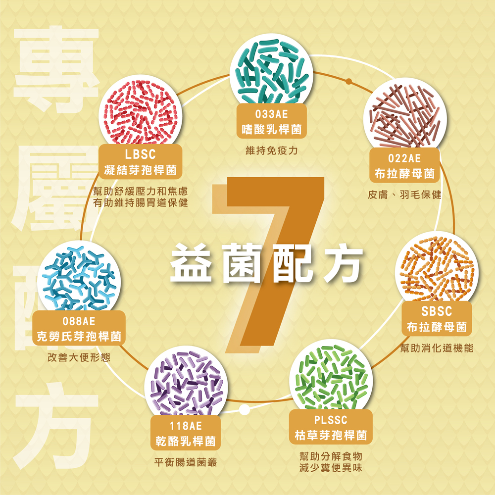 雀鳥專用益生菌，鳥類益生菌